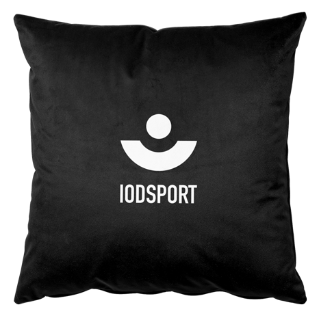 Cushion